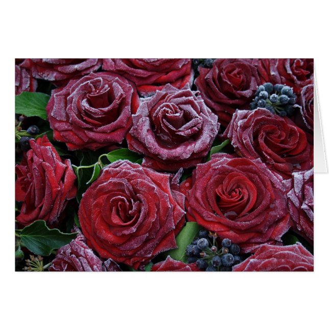 Frozen Roses (Front Horizontal)