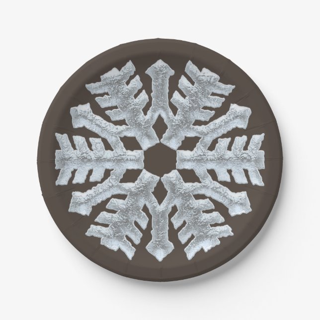 Frozen Snowflake Elegant Brown Nature Christmas Paper Plate (Front)