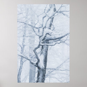 Frozen snowy tree poster