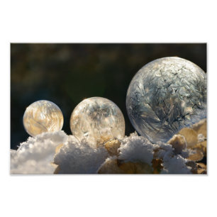 Frozen Soap Bubbles Ice Crystal Winter  Paperprint Photo Print