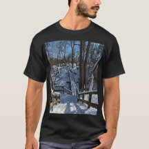 Frozen Steps: Great Falls Winter Tee