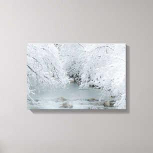 Frozen Stream - Canvas Print
