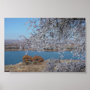Frozen Tree Poster