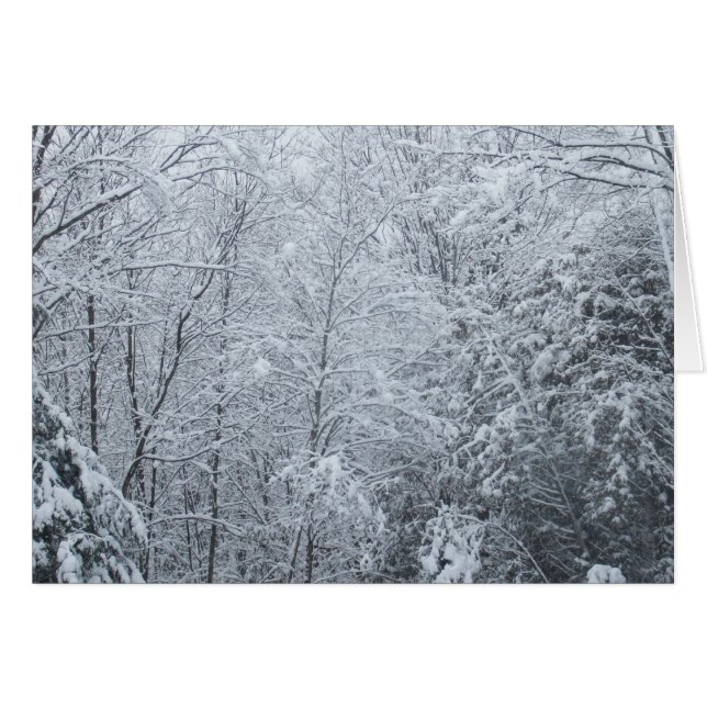 Frozen Trees-Blank Card (Front Horizontal)