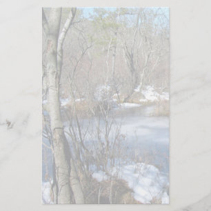 Frozen Wetlands Pond Stationery