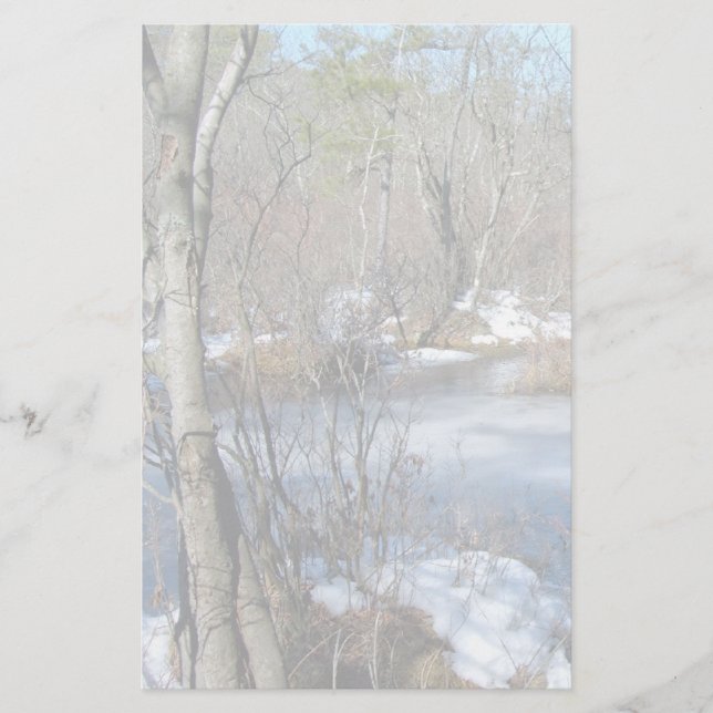 Frozen Wetlands Pond Stationery (Front)