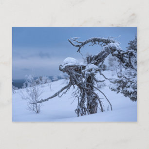 Frozen wooden alien postcard