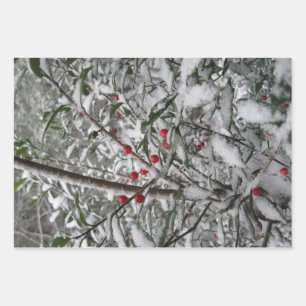 Frozen Wrapping Paper Sheet