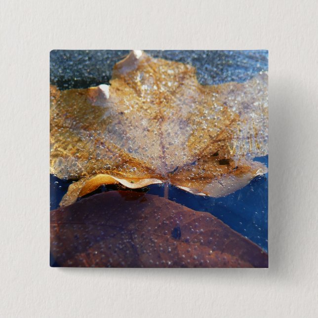 Frozen Yellow Maple Leaf Autumn Nature 2 Inch Square Button (Front)