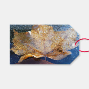 Frozen Yellow Maple Leaf Autumn Nature Gift Tags