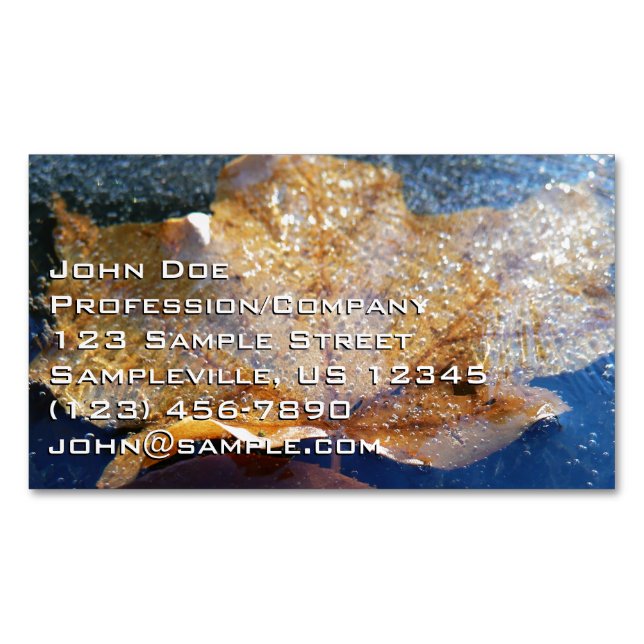 Frozen Yellow Maple Leaf Autumn Nature Magnetic Business Card (Front)