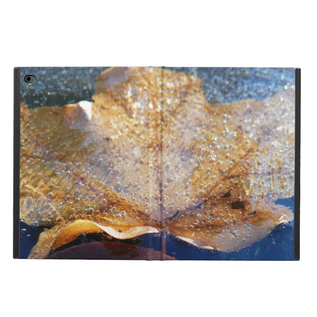Frozen Yellow Maple Leaf Autumn Nature Powis iPad Air 2 Case (Outside)