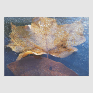 Frozen Yellow Maple Leaf Autumn Nature Tissue Paper