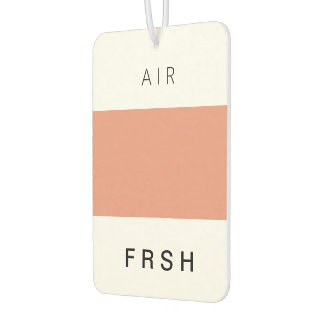 FRSH Dark Salmon Air Freshener