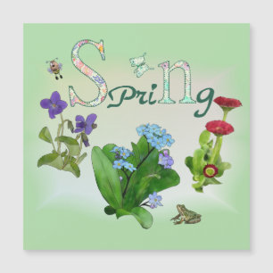 Frühlingsblumen mit Frosch