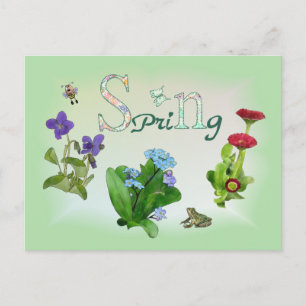 Frühlingsblumen mit Frosch Postcard