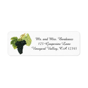 Fruit alimentaire vintage, Grappe de raisin biolog