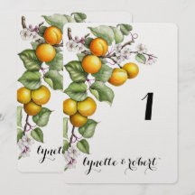Fruit and Floral Watercolor Wedding Table Number