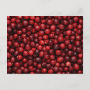 Fruit and Food Postcard 53