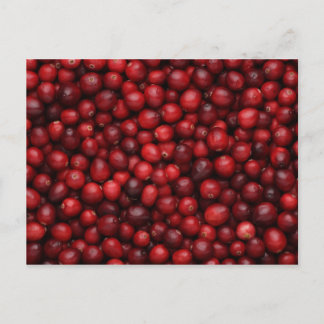 Fruit and Food Postcard 53