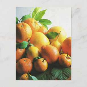 Fruit and vegetables, oranges and lemons postcard