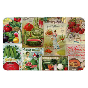 Fruit and Veggies Seed Catalogue Collage Magnet