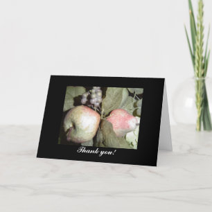 Fruit Arrangement Thank You Card