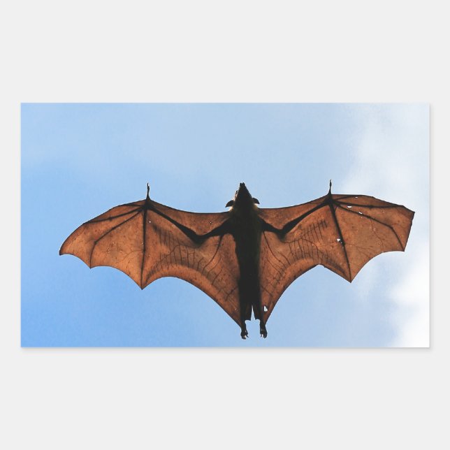 Fruit bat sticker (Front)
