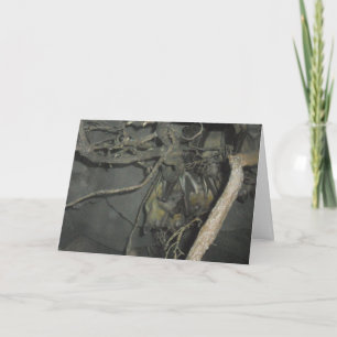 "Fruit Bats" Hallowe'en Card