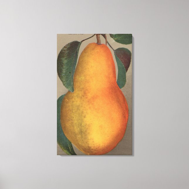 Fruit Chromo Lithograph of Bartlett Pear Canvas Print (Front)