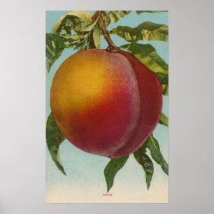 Fruit Chromo Lithograph of PeachFruitState Poster