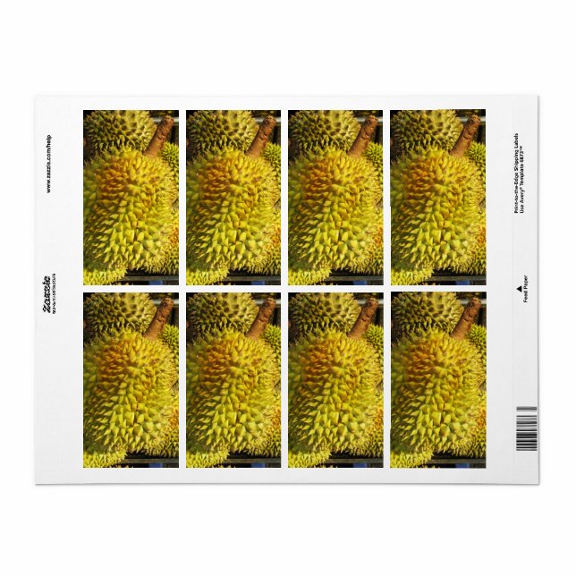 Fruit durian (Feuille entière)