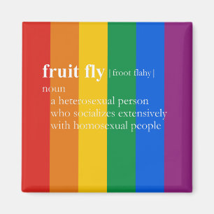 FRUIT FLY MAGNET