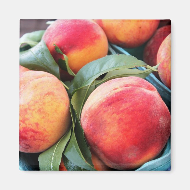 Fruit frais - Aimant de pêche (Devant)