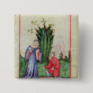 Fruit of Mandrake, from' Tacuinum Sanitatis' 2 Inch Square Button