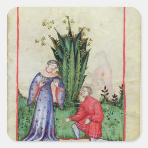 Fruit of Mandrake, from' Tacuinum Sanitatis' Square Sticker