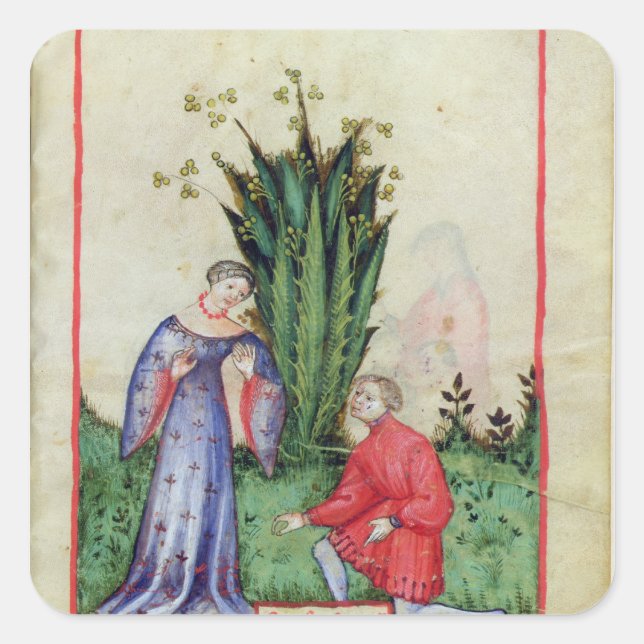 Fruit of Mandrake, from' Tacuinum Sanitatis' Square Sticker (Front)