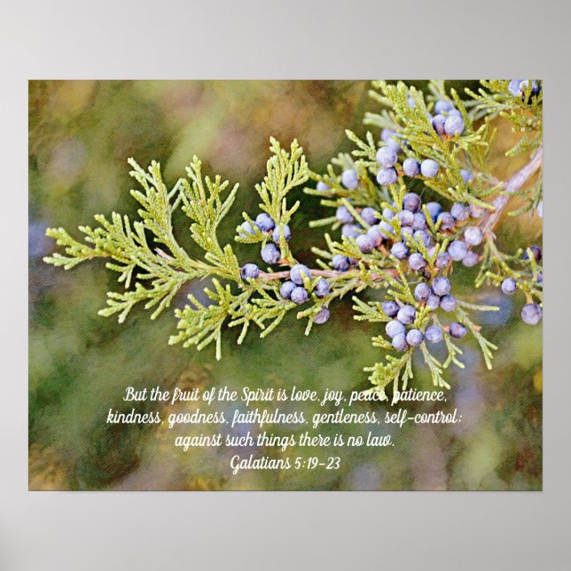 Fruit of the Spirit Nature Scripture Photo Art Poster (Front)