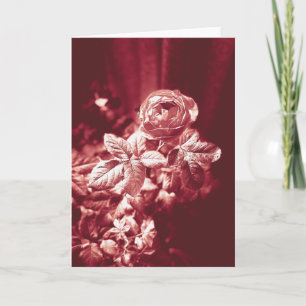 Fruit Parfuma Rose - Carte de remerciements