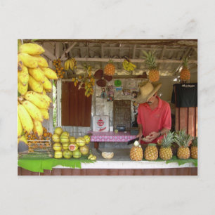 Fruit Stall Postcard