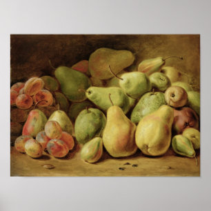 Fruit Still Life Poster