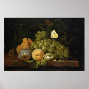Fruit Study Poster