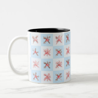 Fruit that reminds me of winter Two-Tone coffee mug