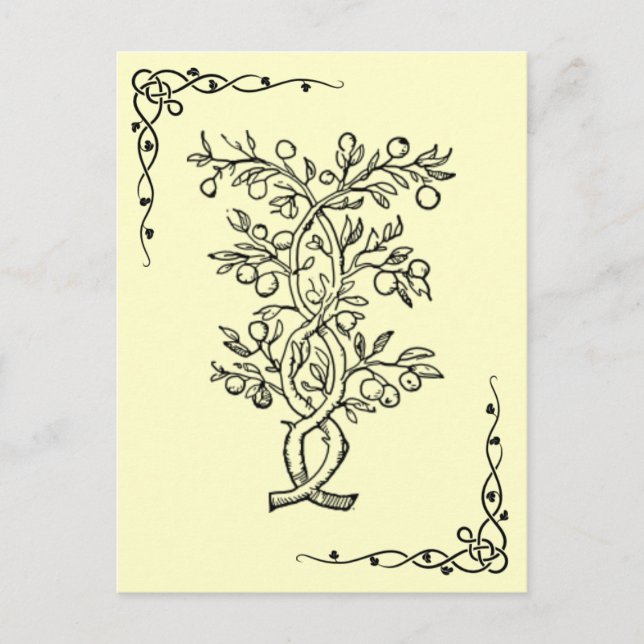 Fruit Tree Postcard (Front)