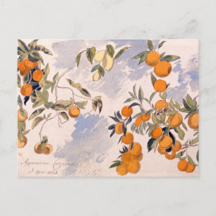 Fruit Trees - Edward Lear Postcard