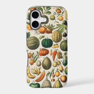 Fruit Vegetable Botanical Scientific Illustration