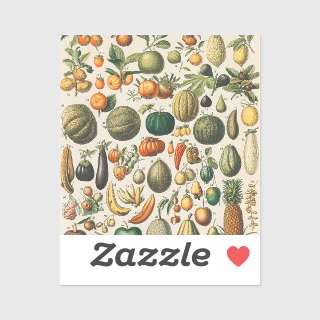 Fruit Vegetable Botanical Scientific Illustration (Sheet)