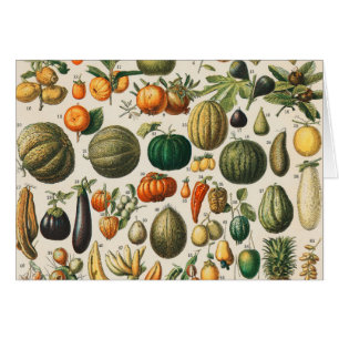Fruit Vegetable Botanical Scientific Illustration