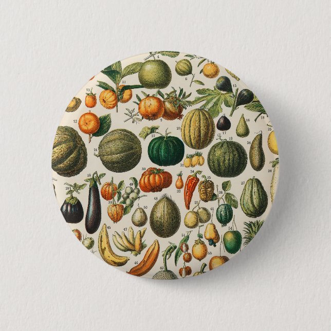 Fruit Vegetable Botanical Scientific Illustration 2 Inch Round Button (Front)