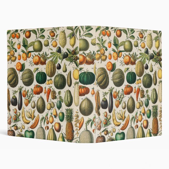 Fruit Vegetable Botanical Scientific Illustration Binder (Background)